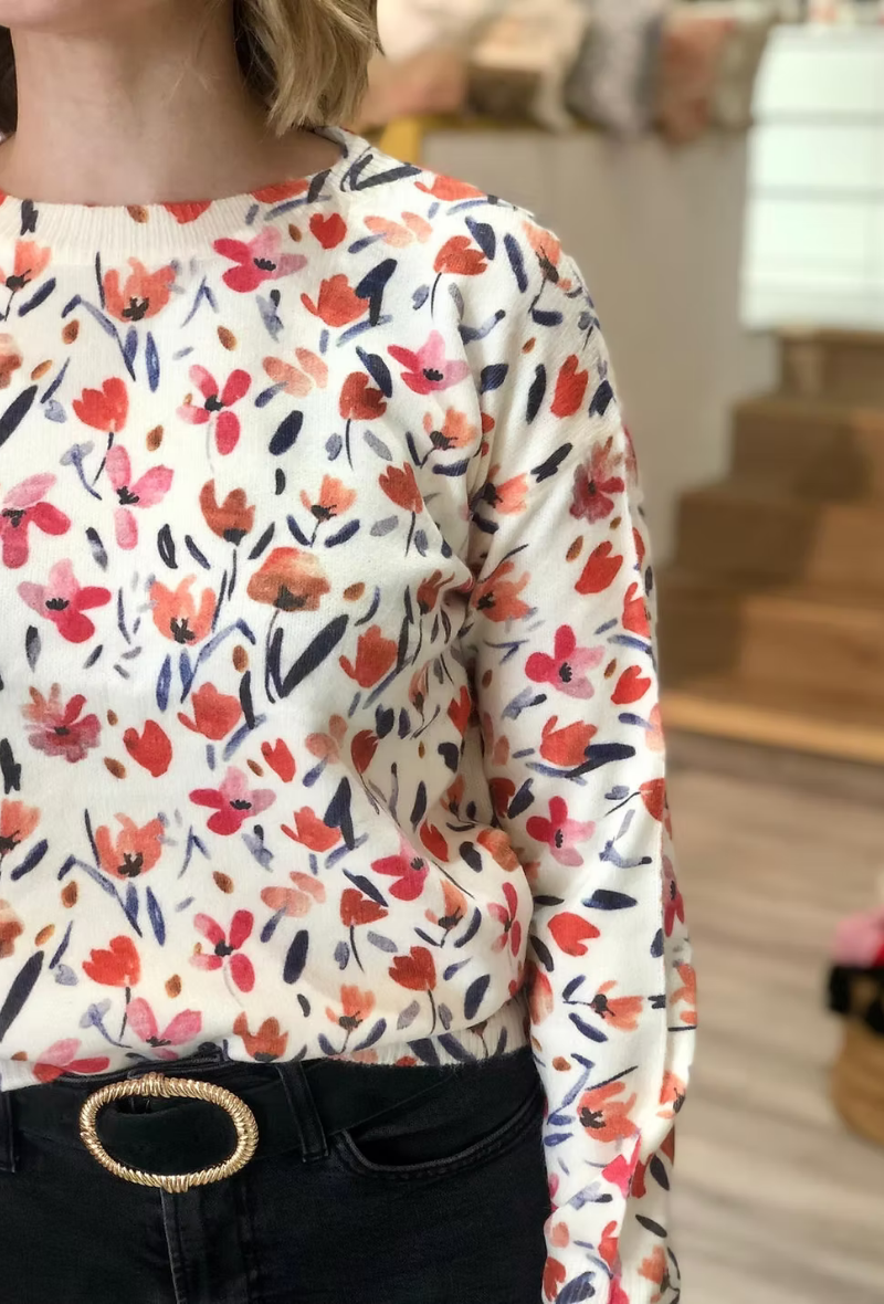 Pull col rond chic et tendance à Paris - Delacourt